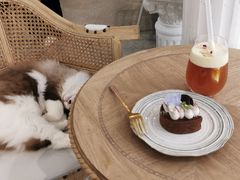 -共舞时光猫咖·狗咖(新街口店)