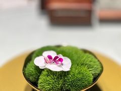 -四季民福烤鸭店(外滩外白渡桥店)