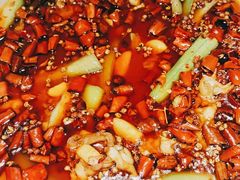 -雲蜀龙阁·金牌水煮鱼(方庄店)