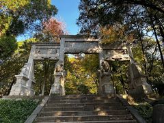 -昆明动物园