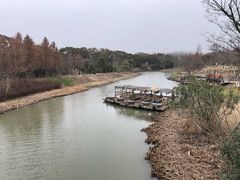 -上海长兴岛郊野公园