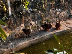 -有汤有味驴庄(坪山店)