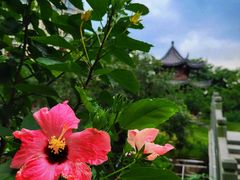 -四海公园(南山区)