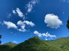 -石台牯牛降景区