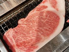 -俺的焼肉(銀座9丁目店)