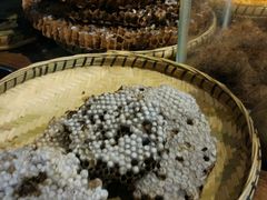 -昆虫窝子·特色云南菜(拓东路总店)