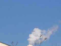 -四川简阳羊肉汤火锅(望花路西里店)