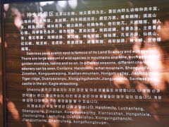 -青峰峡国家森林公园