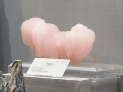 -湖南省地质博物馆