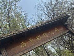 -西青郊野公园