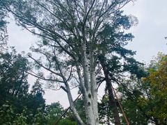 -香山公园
