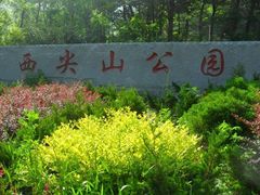 -西尖山公园
