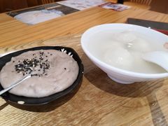 -海丝金凤(金鱼店)