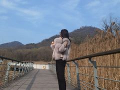 -西湖风景区-江洋畈生态公园