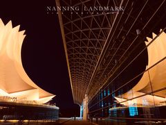 -甘家界牌柠檬鸭(青山店)