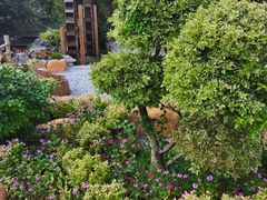 -广州白江湖森林公园