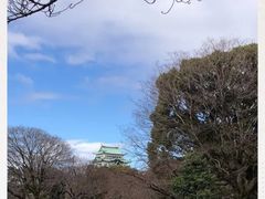 -名古屋城