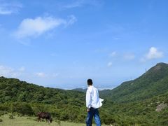-大姆山草场