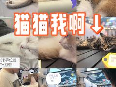 -万达广场(大明宫店)