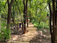 -马王堆汉墓遗址