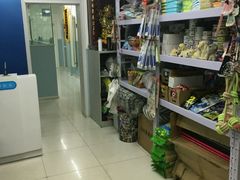 -中农大我爱我爱24h动物医院·中医针灸·猫专科·骨科医疗中心(双井店)