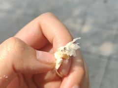 -旧识old mate·烘焙蛋糕店