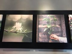 -星巴克臻选(重庆沙坪坝店)