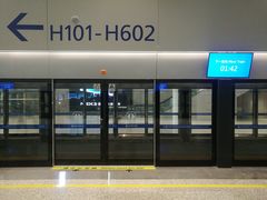 -上海浦东国际机场-T2航站楼