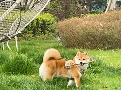 -听TA说宠咖·宠物生活馆(天韵水岸店)