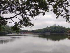 -西樵山风景名胜区-天湖公园