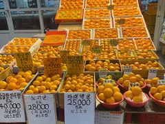 -西归浦每天偶来市场