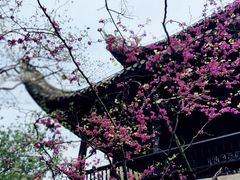 -阳明祠