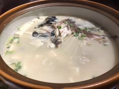 姜君千岛湖鱼头-姜君·千岛湖鱼头馆(浦东大道店)
