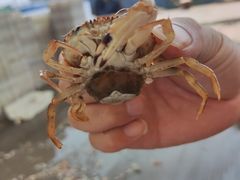 -吕四渔港码头海鲜餐厅