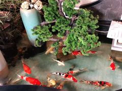 -长赢养生(平度店)