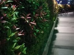 -大信·云顶星河游乐王国