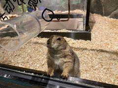 -zoonana室内动物园(东方福来德店)