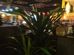 -龙泉人椰子鸡.糟粕醋.海南菜(三亚旗舰店)