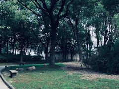 -上海影视乐园
