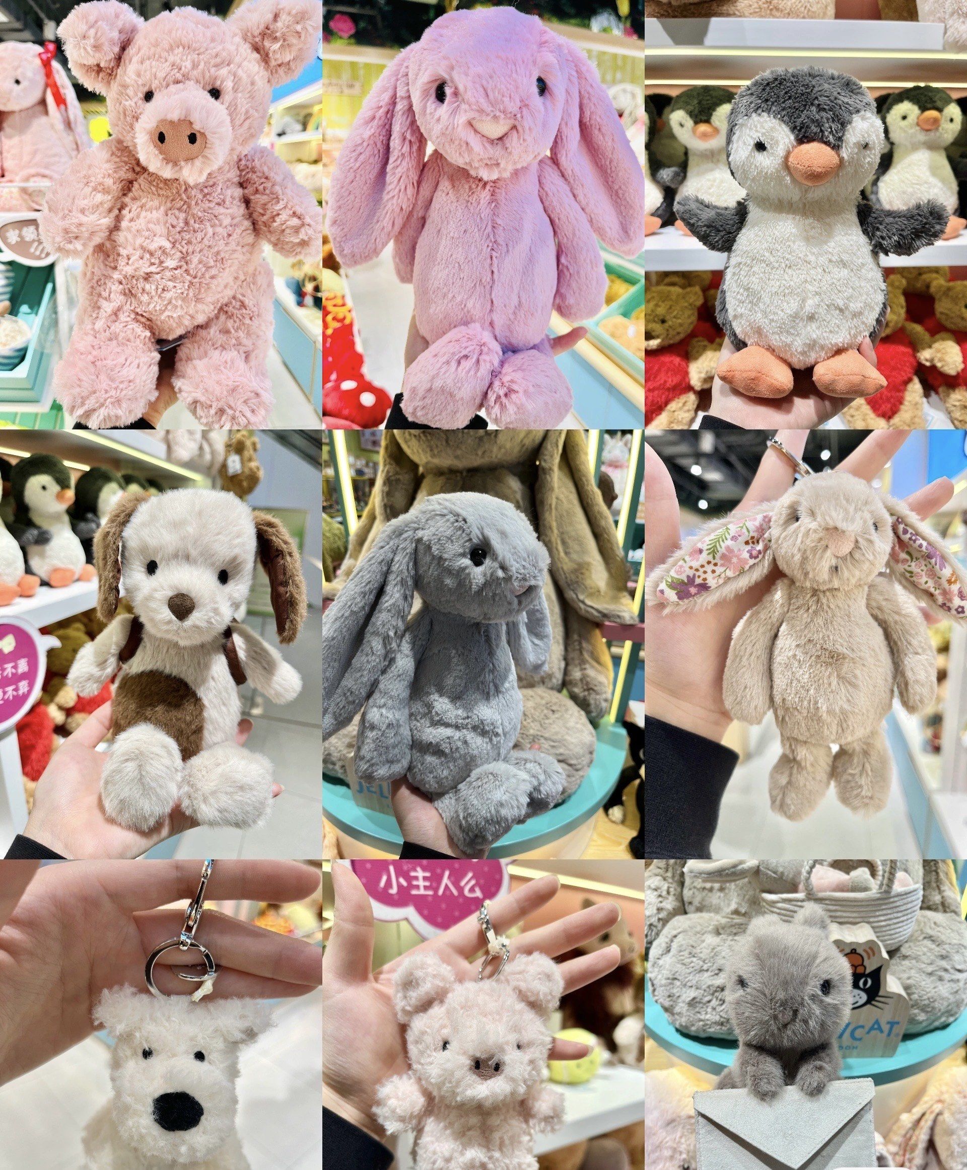 jellycat巴猪 jellycat毛绒玩具 jellycat巴塞罗熊 jellycat邦尼兔