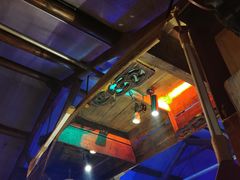 -西塘人家•黑金冠本地好店