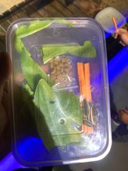 -未来动物城动物主题公园(大悦城店)