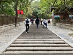 -灵岩山风景区