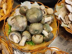 -菌海森林·非遗野生菌火锅(西山区滇池路摩根道店)