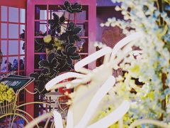 -红星美凯龙(上海沪南店)