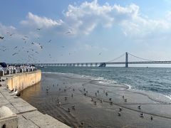 -星海广场