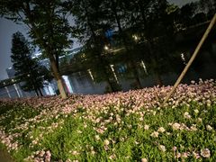 -南京市江宁方山