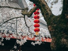 -杭州上天竺法喜讲寺