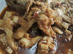 红烧狗鱼-煲来饱去冷水鱼
