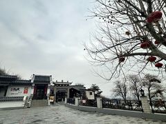 -鲁菜根·泰山菜(泰山店)
